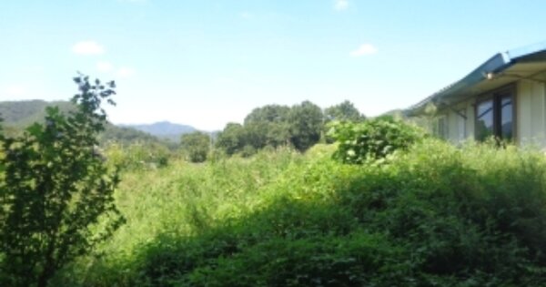 충청북도 괴산군 청천면 고성리 OO 전 경매 물건 이미지