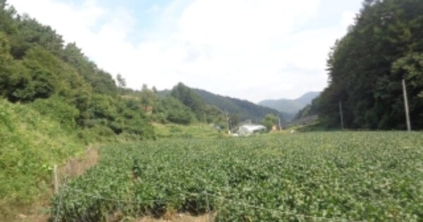 충청북도 괴산군 청안면 부흥리 OOO 전 경매 물건 이미지