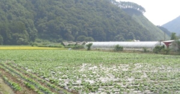 충청북도 괴산군 청천면 삼락리 OOO 답 경매 물건 이미지