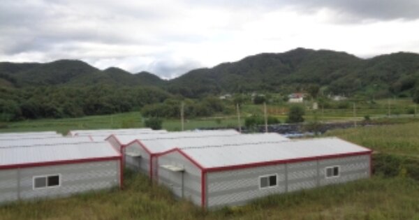 충북 괴산군 불정면 외령리 OOO 동물 및 식물 관련시설 경매 물건 이미지