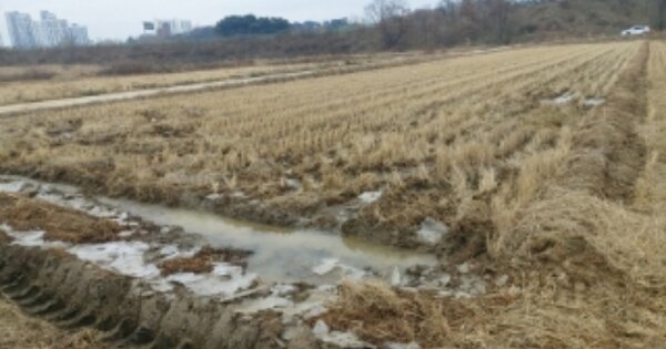 충청남도 당진시 송산면 무수리 OOOOO 답 경매 물건 이미지
