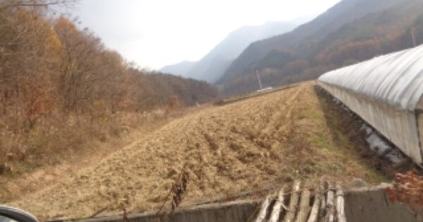 충청북도 괴산군 청천면 삼송리 OOOO 답 경매 물건 이미지