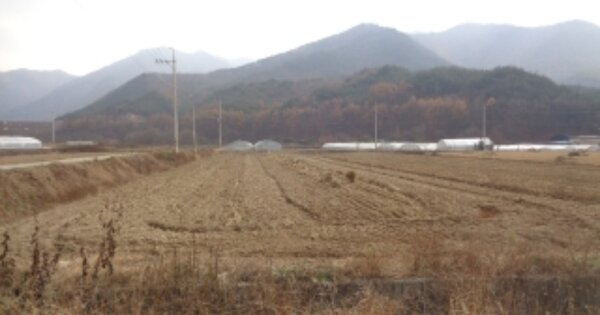 충청북도 괴산군 청천면 삼송리 OOOO 답 경매 물건 이미지