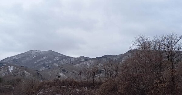 강원특별자치도 철원군 근남면 양지리 OOOO O OOOO 임야 경매 물건 이미지