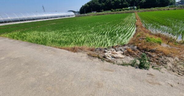 경기도 오산시 두곡동 OO 답 경매 물건 이미지