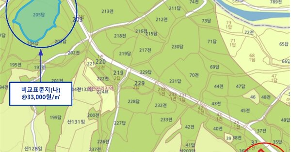 경기도 파주시 진동면 서곡리 OOOO 답 경매 물건 이미지