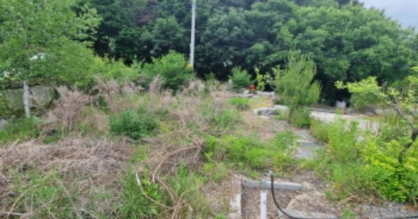 경기도 가평군 상면 연하리 OOOOO O OOO 답 경매 물건 이미지
