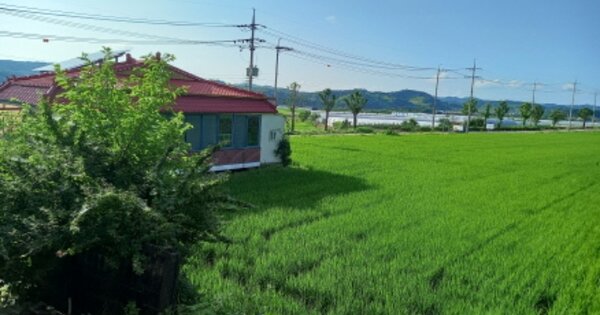 경기도 연천군 군남면 삼거리 OOO O OOO 대지 경매 물건 이미지