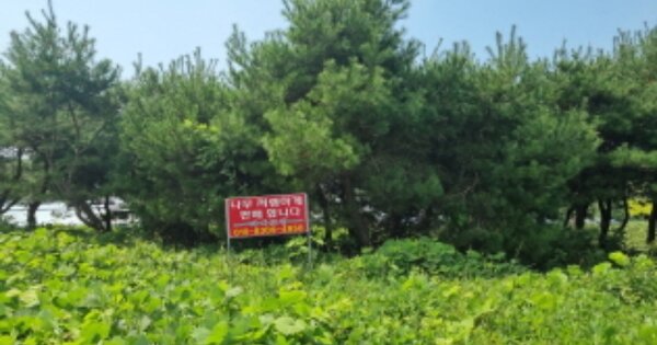 경기도 화성시 송산면 지화리 OOOOO 임야 경매 물건 이미지