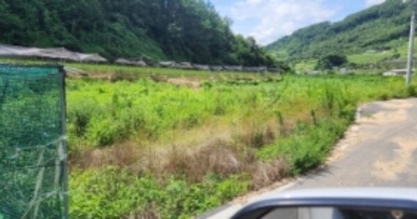 경상북도 안동시 서후면 태장리 OOO 답 경매 물건 이미지