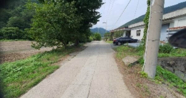 경상남도 창원시 마산합포구 진동면 교동리 OOOOO O OOO 답 경매 물건 이미지