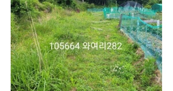 부산광역시 기장군 철마면 와여리 OOO 답 경매 물건 이미지