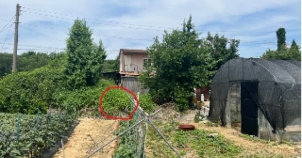 충청남도 아산시 도고면 기곡리 OOOOOO 대지 경매 물건 이미지