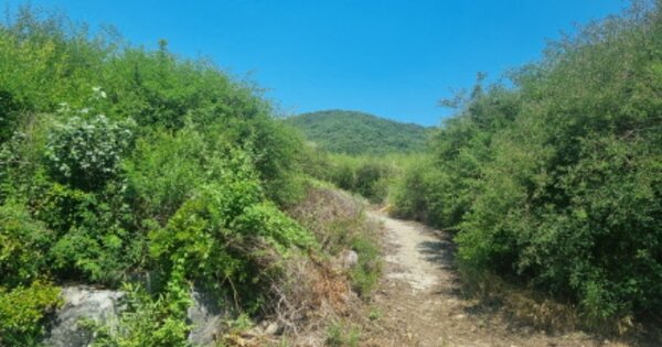 충청남도 천안시 동남구 병천면 가전리 OOOOOO 대지 경매 물건 이미지