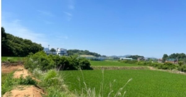충청남도 아산시 영인면 신화리 OOOOO 전 경매 물건 이미지