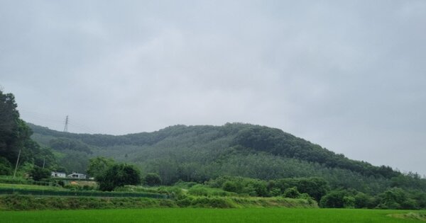 충청남도 천안시 동남구 병천면 관성리 OOOOO 임야 경매 물건 이미지