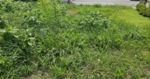 충청남도 아산시 음봉면 원남리 OOOO 전 경매 물건 이미지