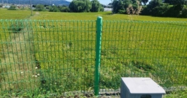 충청남도 아산시 선장면 대흥리 OOO 답 경매 물건 이미지