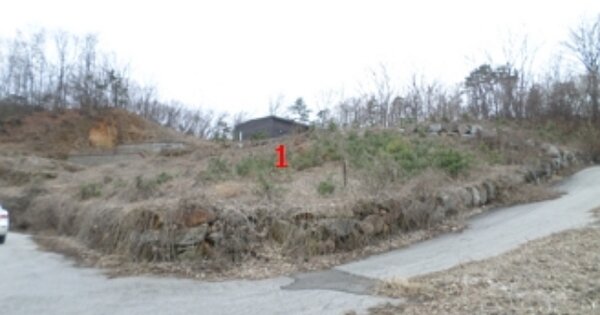 강원특별자치도 원주시 흥업면 대안리 OOOOOO O OOO 임야 경매 물건 이미지