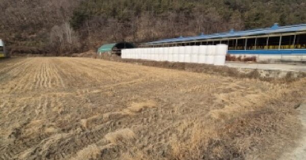 경상북도 경주시 내남면 명계리 OOOO 답 경매 물건 이미지