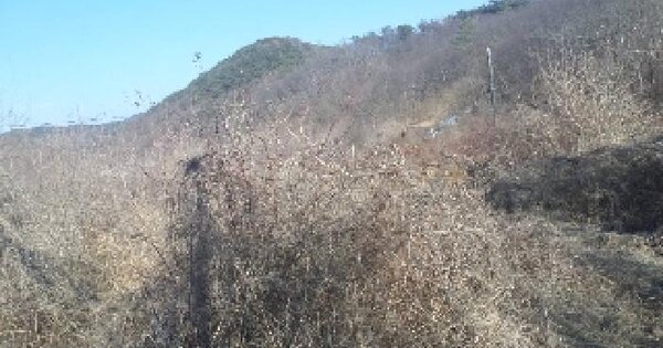 전북특별자치도 임실군 덕치면 사곡리 OOO 전 경매 물건 이미지