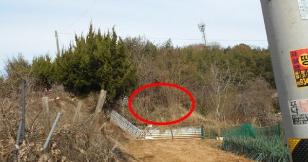 전라북도 군산시 내흥동 OO O OOO 단독주택 경매 물건 이미지
