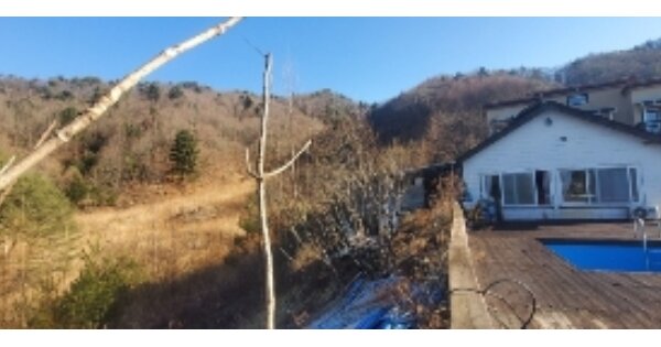 강원특별자치도 평창군 봉평면 면온리 OOO O OOO 전 경매 물건 이미지