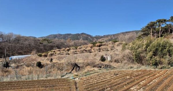 충청남도 보령시 주교면 주교리 OOOOO O OOO 전 경매 물건 이미지