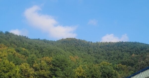 경상남도 거제시 둔덕면 학산리 OOOOOOO 임야 경매 물건 이미지