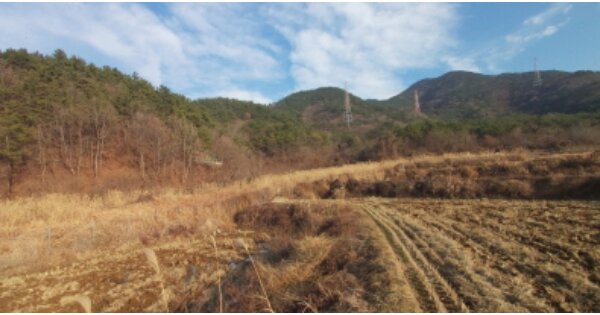 경상남도 고성군 거류면 가려리 OOO 전 경매 물건 이미지