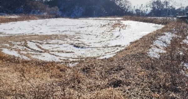 충청북도 제천시 송학면 무도리 OOOOO O OOO 전 경매 물건 이미지