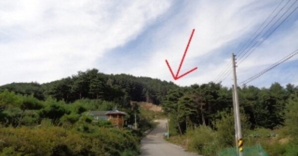 강원특별자치도 평창군 봉평면 무이리 OOOOO O OOO 임야 경매 물건 이미지