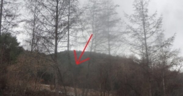 강원특별자치도 정선군 고한읍 고한리 OOOOO 전 경매 물건 이미지