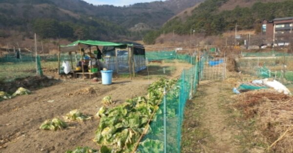 경상남도 거제시 동부면 학동리 OOO 답 경매 물건 이미지
