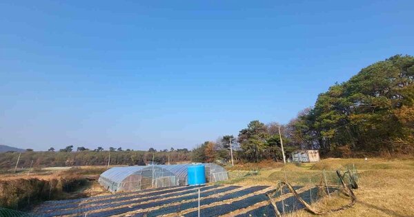 경기도 여주시 매룡동 OOOO 전 경매 물건 이미지