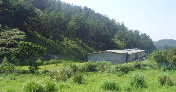 전라남도 완도군 약산면 우두리 OOOOO 동물 및 식물 관련시설 경매 물건 이미지