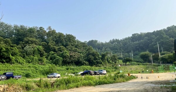 경기도 안산시 상록구 월피동 OOO 임야 경매 물건 이미지