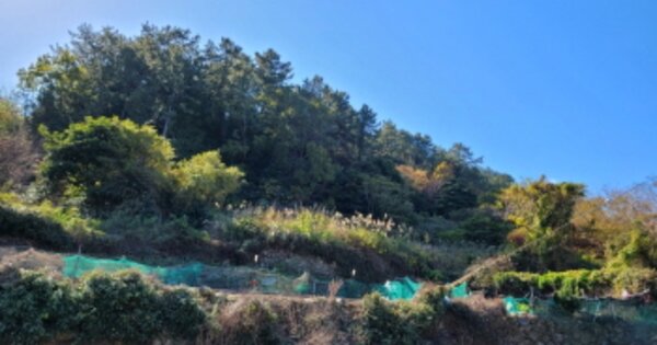 전라남도 여수시 남면 심장리 OOO O OOO 전 경매 물건 이미지