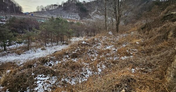 경상북도 예천군 효자면 백석리 OOO 전 경매 물건 이미지