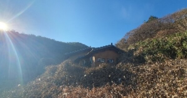 경남 의령군 낙서면 전화리 OOO 단독주택 경매 물건 이미지