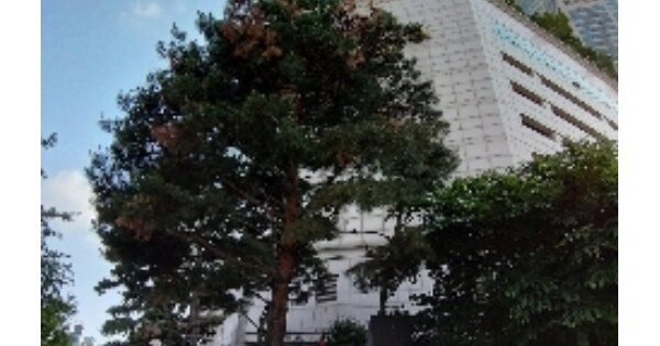 서울 양천구 목동 OOOO OOOO OOOOOOOOOO 아파트 경매 물건 이미지