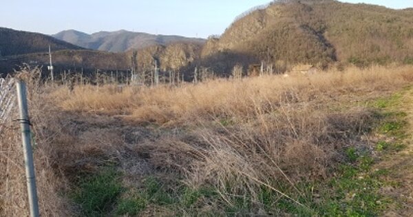 경상북도 청송군 안덕면 신성리 OOOO 답 경매 물건 이미지
