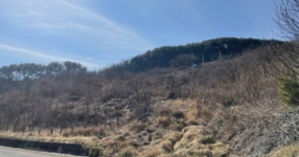 경상남도 산청군 차황면 부리 OOOOOO 임야 경매 물건 이미지