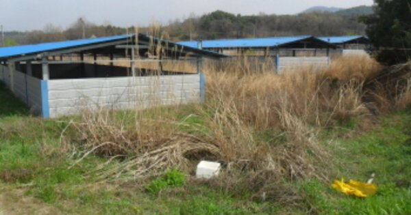 전북특별자치도 정읍시 북면 신평리 OOO O OOO 동물 및 식물 관련시설 경매 물건 이미지