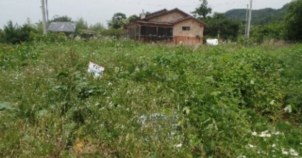 충청남도 논산시 연산면 신양리 OOOOOO O OOO 전 경매 물건 이미지