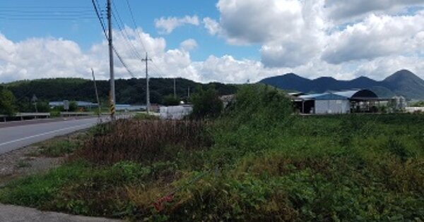 대구광역시 군위군 의흥면 파전리 OOOOO 대지 경매 물건 이미지