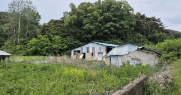 경상북도 울진군 평해읍 월송리 OOOOOO 동물 및 식물 관련시설 경매 물건 이미지