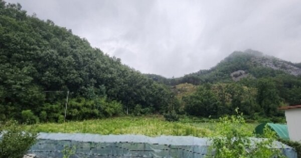 충청북도 영동군 양강면 양정리 OOOO 과수원 경매 물건 이미지