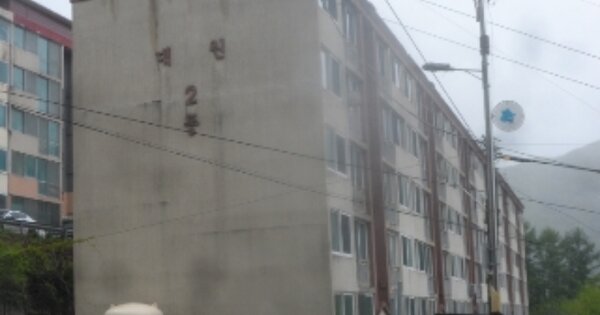 강원특별자치도 정선군 고한읍 고한리 산261-15 2동 OOOOOO 아파트 경매 물건 이미지