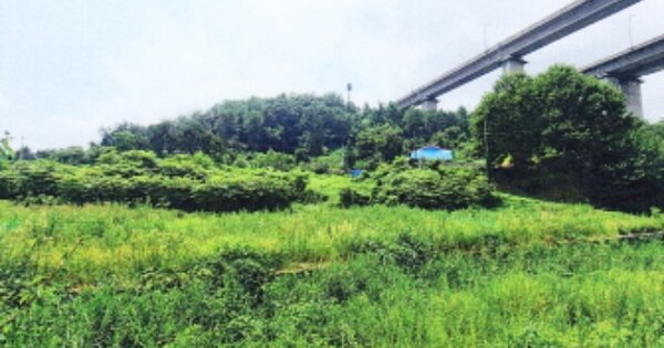 강원특별자치도 강릉시 성산면 송암리 OOOOO O OOO 답 경매 물건 이미지